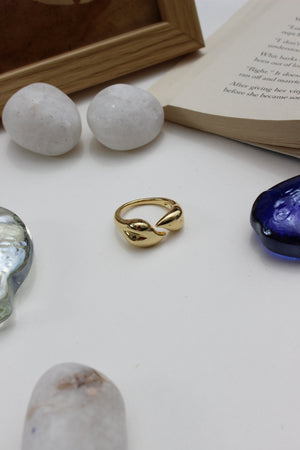 Leaves of Light Ring on a white surface with stones and a book