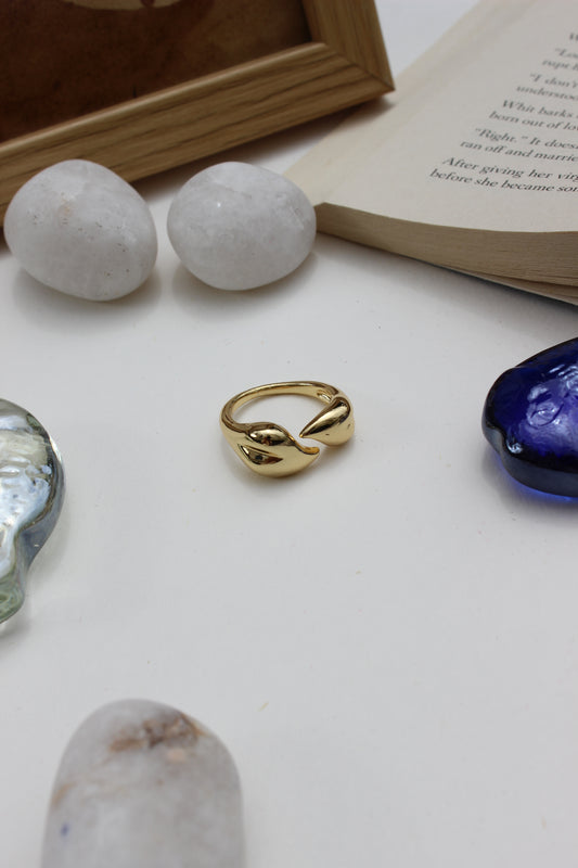Leaves of Light Ring on a white surface with stones and a book