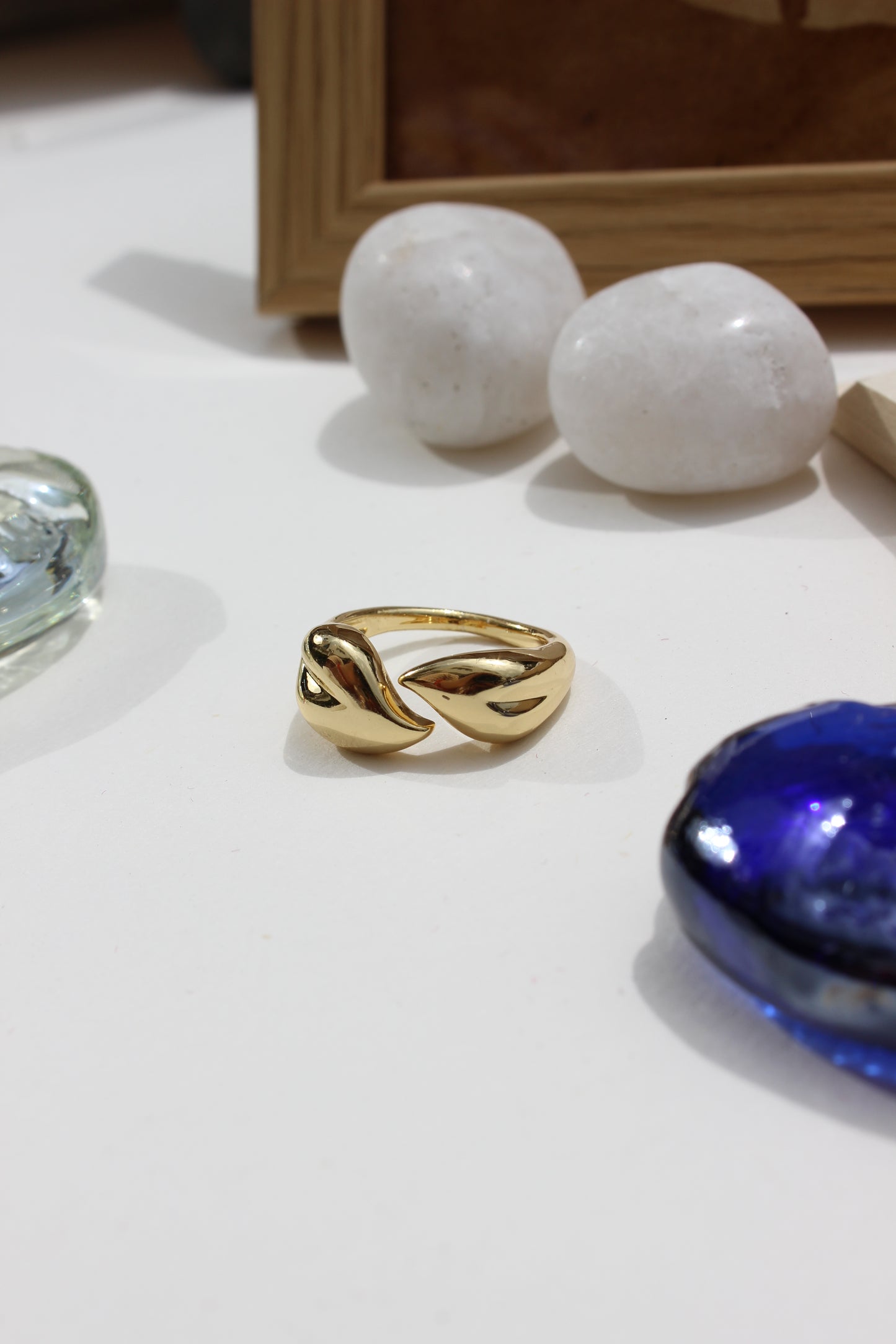 Leaves of Light Ring on a white surface with rocks and a blue seashell in the background