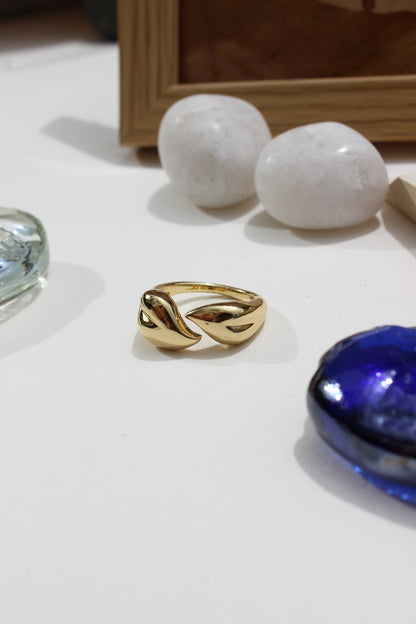 Leaves of Light Ring on a white surface with rocks and a blue seashell in the background