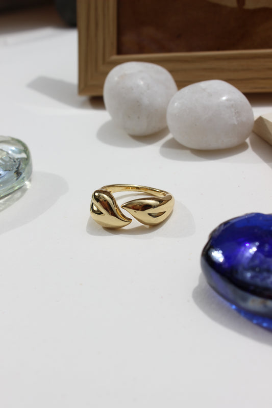 Leaves of Light Ring on a white surface with rocks and a blue seashell in the background