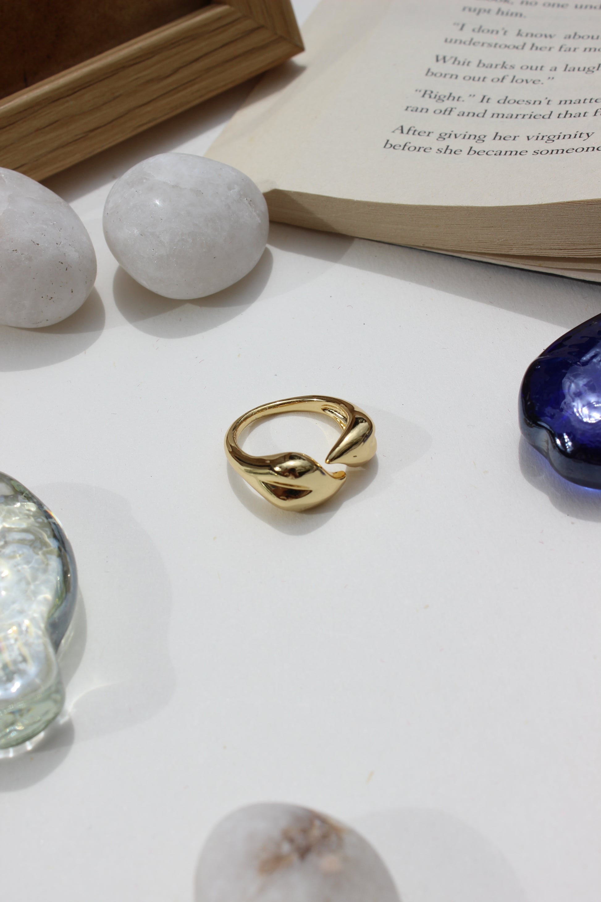 Leaves of Light Ring on a white surface with marble stones and an open book