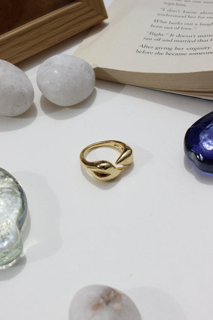 Leaves of Light Ring on a white surface with marble stones and an open book